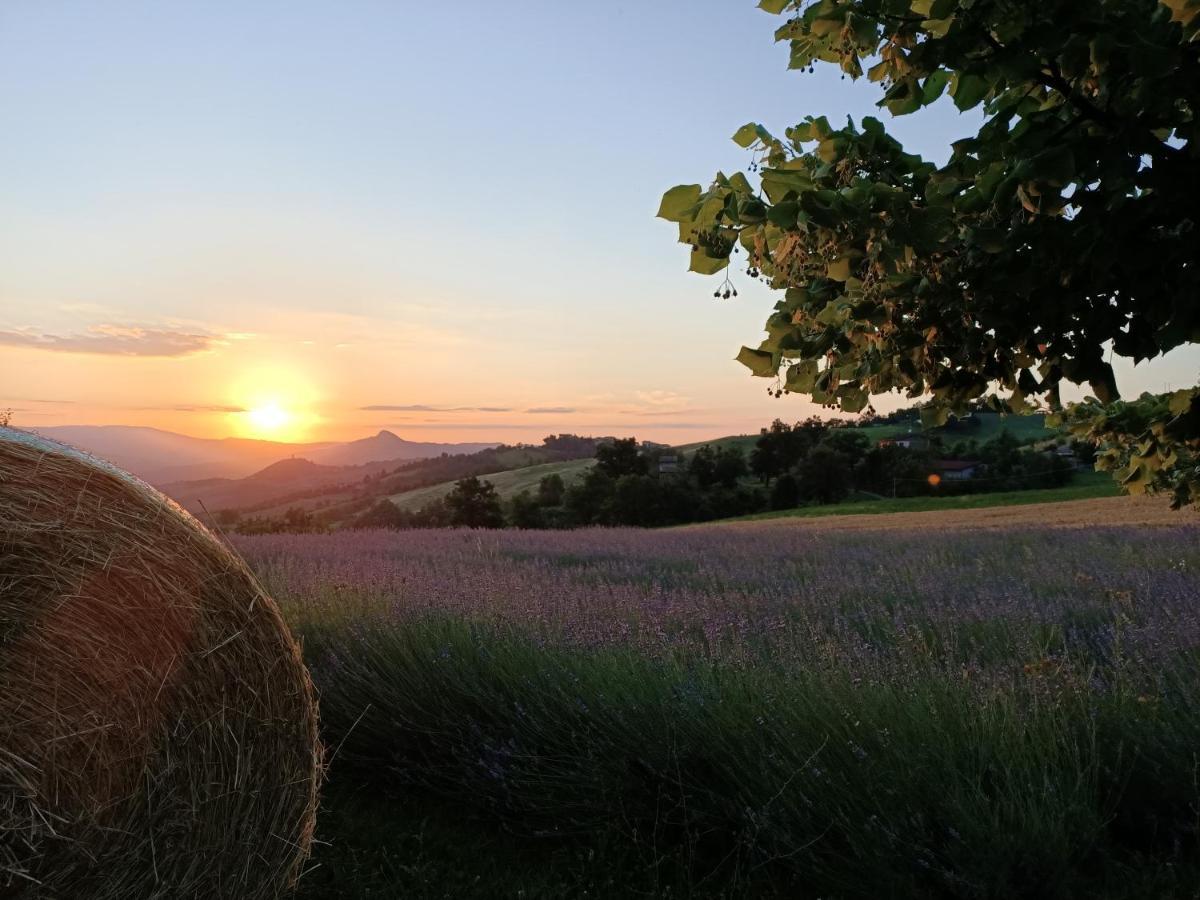 Agriturismo La Casetta - Ospitalita Rurale Familiare Montese Eksteriør billede