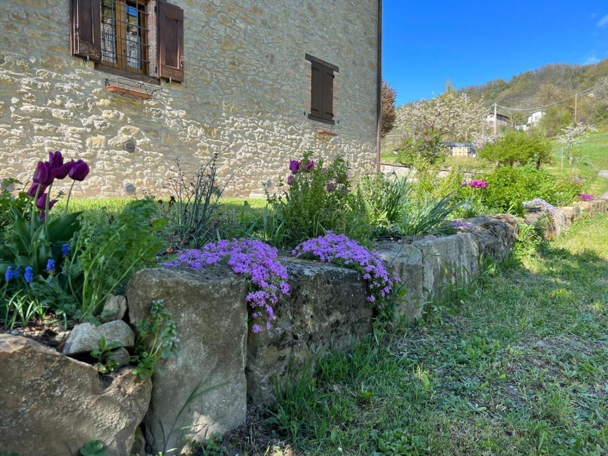 Agriturismo La Casetta - Ospitalita Rurale Familiare Montese Eksteriør billede